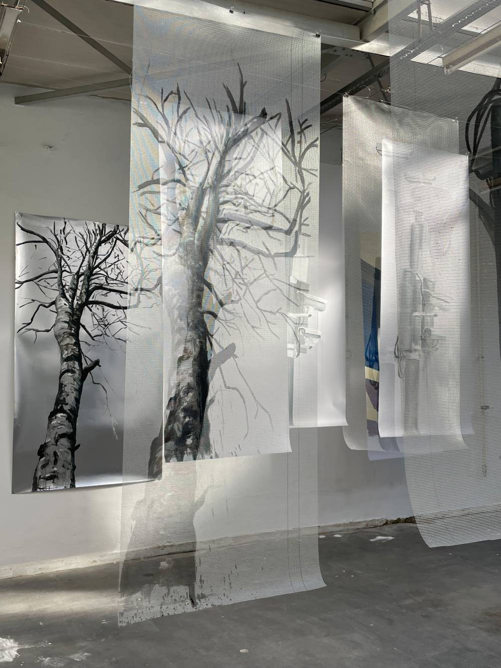 trees
